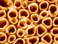 microscope image of titania nanotubes