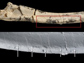 velociraptor fossil bone