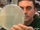 researcher holding two petri dishes with viruses