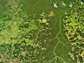 Xingu watershed