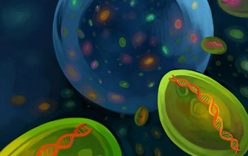 illustration of microbiomes