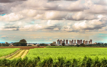 a green field with a city in the background