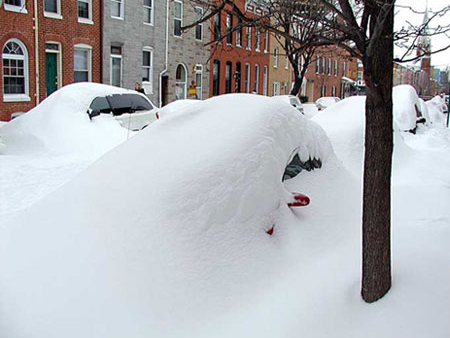 cars burried in snow