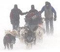 Several people with dogsled and sled dogs