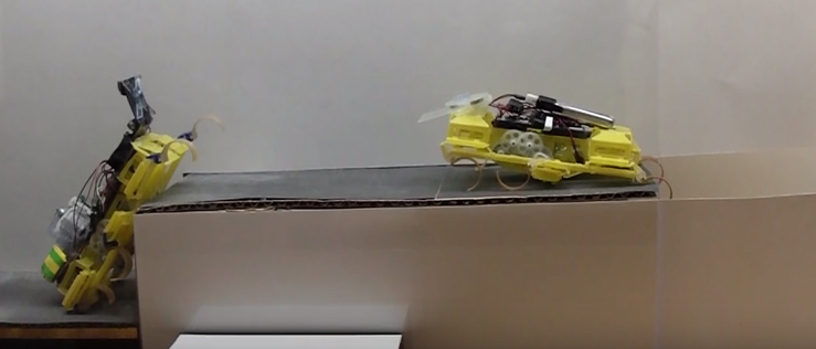 Roach-like robots scramble over rubble