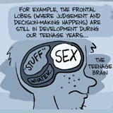 The teenage brain