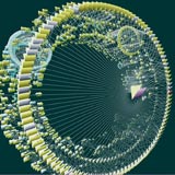 circular display of object interconnections