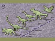 drawing of dinosaur evolution