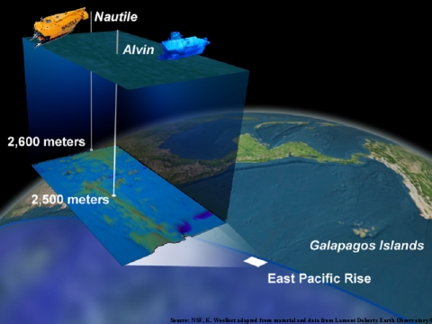Measuring the distance of the Nautile (2,600 meters) and the Alvin (2,500  meters) from the East Pacific Ridge