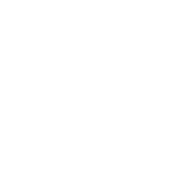 NSB Logo