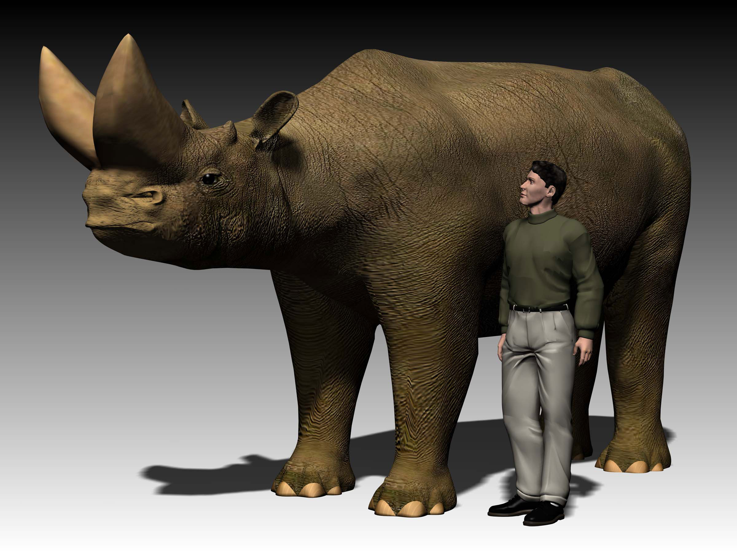 an example of the genus Arsinoitherium