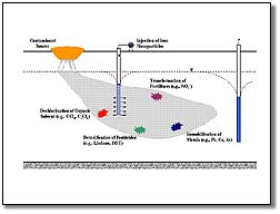 Graphic showing site remediation with iron nanoparticles