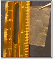 Photo depicting artificial nacre and a ruler