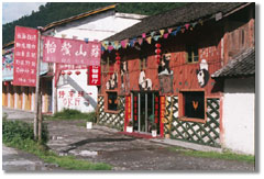 Building decorated with panda images