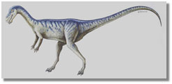Reconstruction of the dinosaur body; caption is below