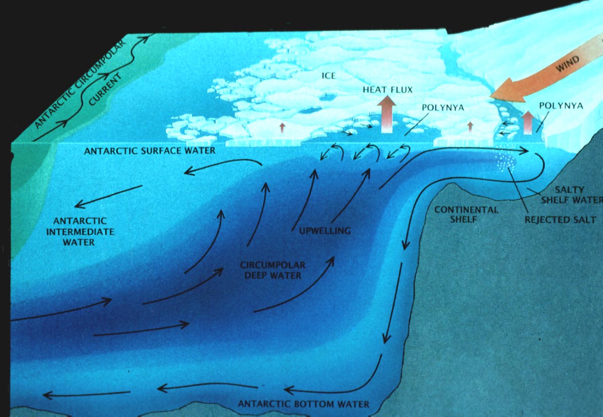 Graphic: sea ice/ ice shelf
