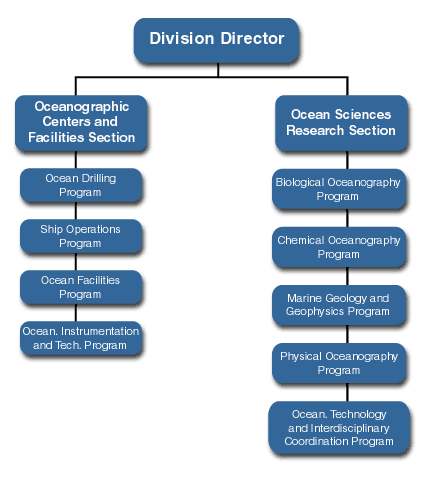 Orginizational Chart for OCE