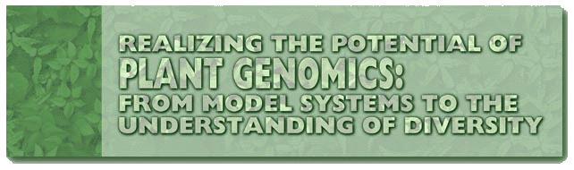 Realizing the Potential of Plant Genomics:  From Model Systems to the Understanding of Diversity