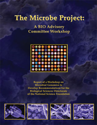 microbe cover