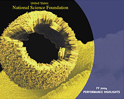 NSF Cover Page to FY 2004 Report